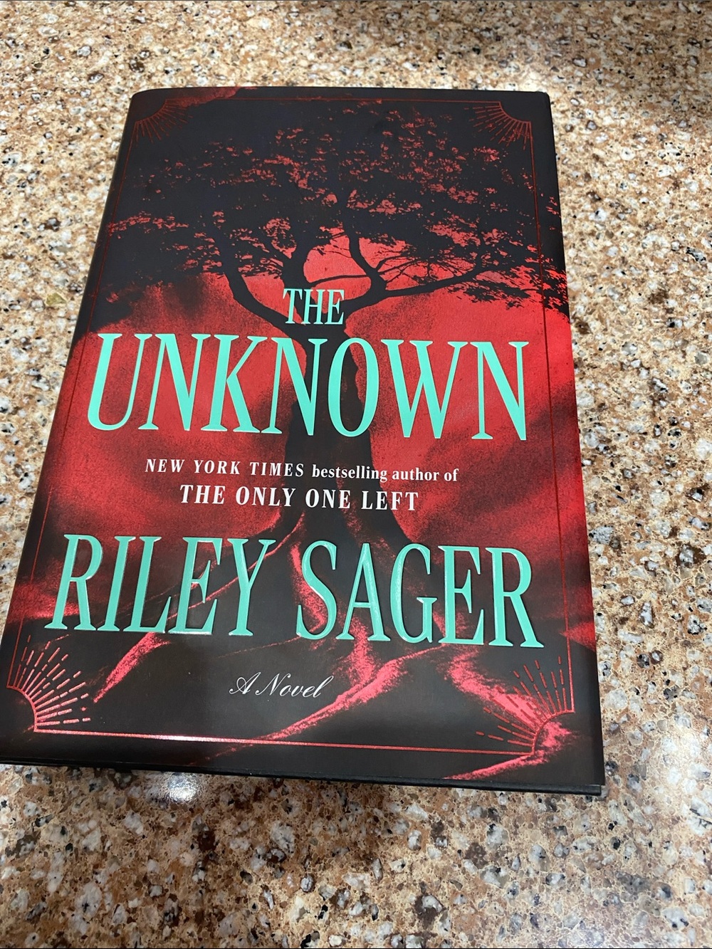 The Unknown Riley Sager - Red & Black Hardcover Novel
